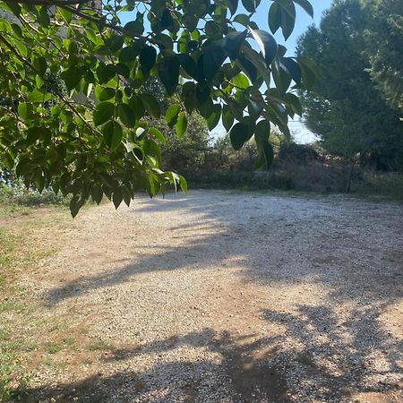 Bed and Breakfast Albarosa Ruvo di Puglia Exterior foto