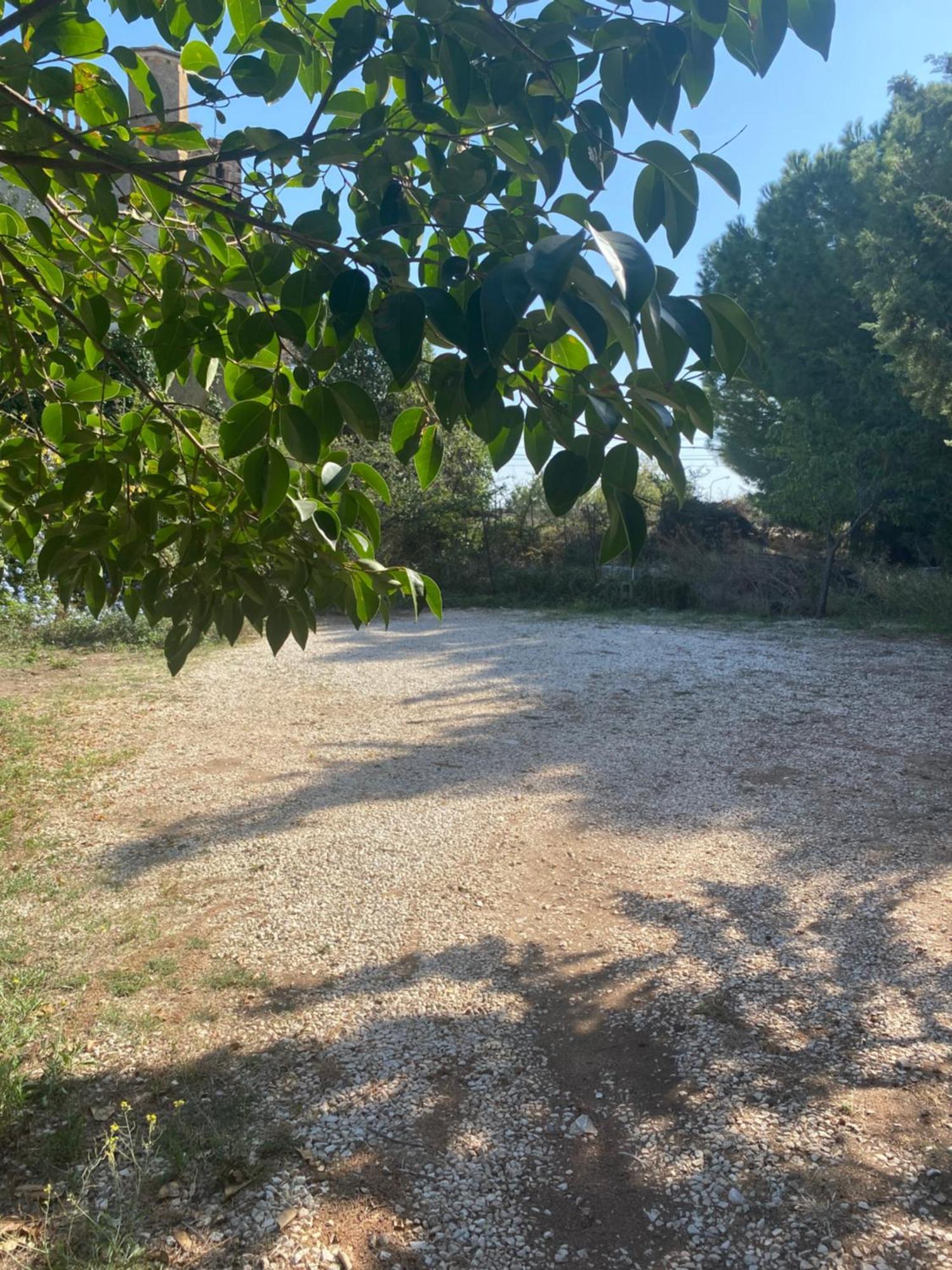 Bed and Breakfast Albarosa Ruvo di Puglia Exterior foto