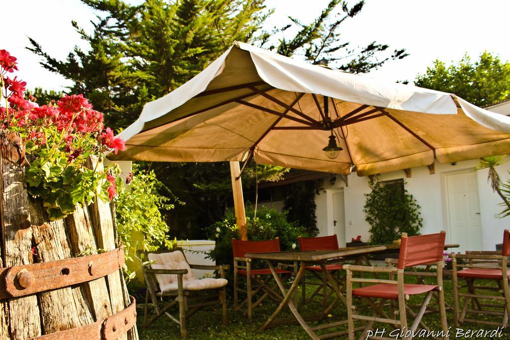 Bed and Breakfast Albarosa Ruvo di Puglia Exterior foto