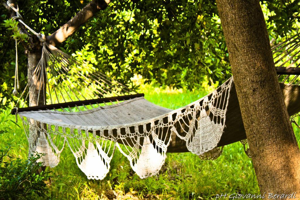 Bed and Breakfast Albarosa Ruvo di Puglia Exterior foto